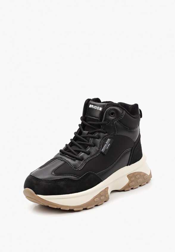 Кроссовки Briggs