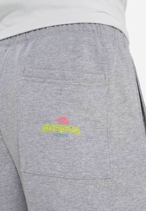 Брюки мужские The North Face Expedition Celebration, Серый