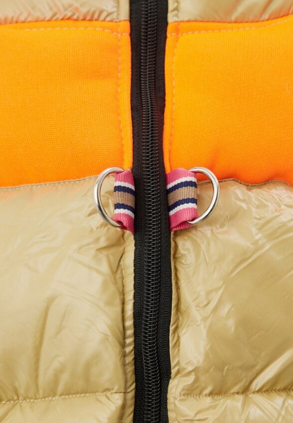 Куртка для собак Пижон