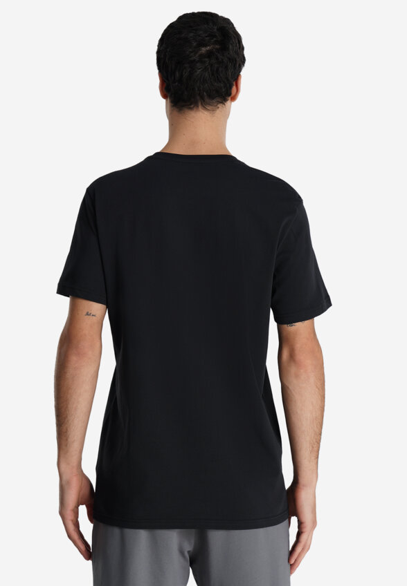 Футболка мужская Demix Print, Черный