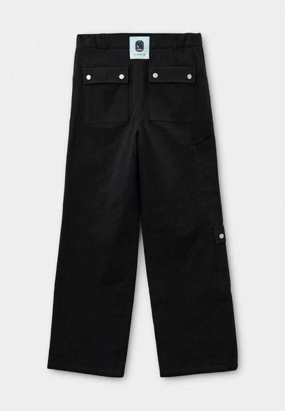 Брюки Ad Astra Lab