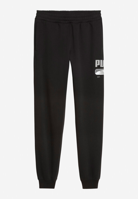 Брюки мужские PUMA Sport Logo Play, Черный