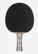 Ракетка для настольного тенниса DONIC Persson Exlusive OFF + Liga+, Красный2  - превью