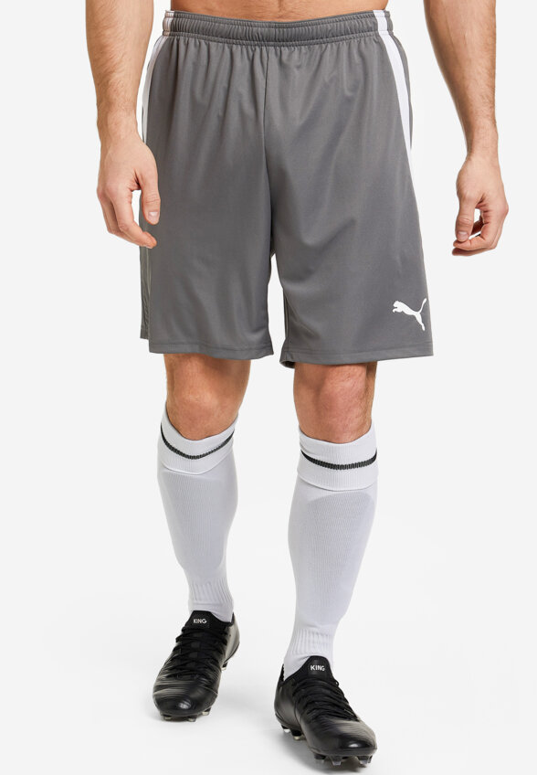Шорты мужские PUMA teamLIGA, Серый