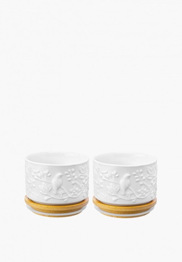 Набор банок для хранения Elan Gallery