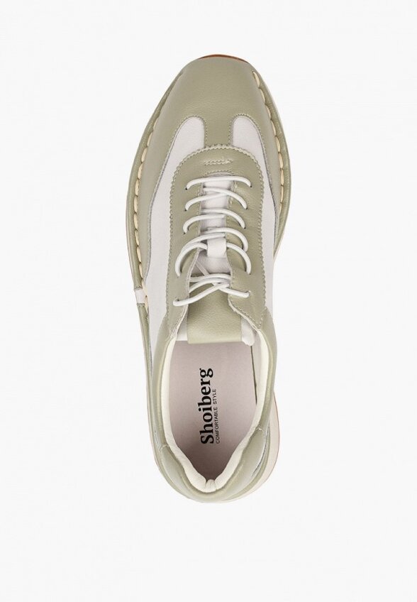 Кроссовки Shoiberg