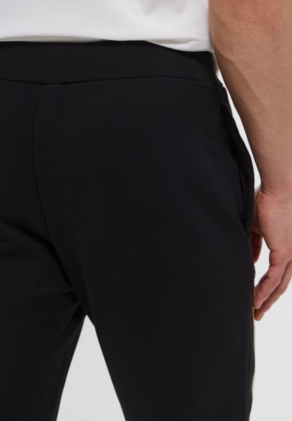 Брюки спортивные Trussardi