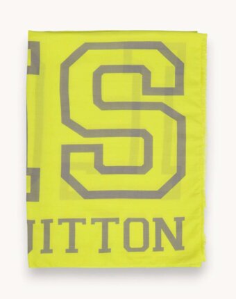 Louis Vuitton Scarf женщинам