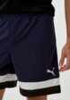 Шорты спортивные PUMA4  - превью