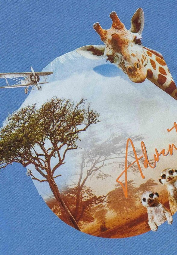 Футболка Lapin House