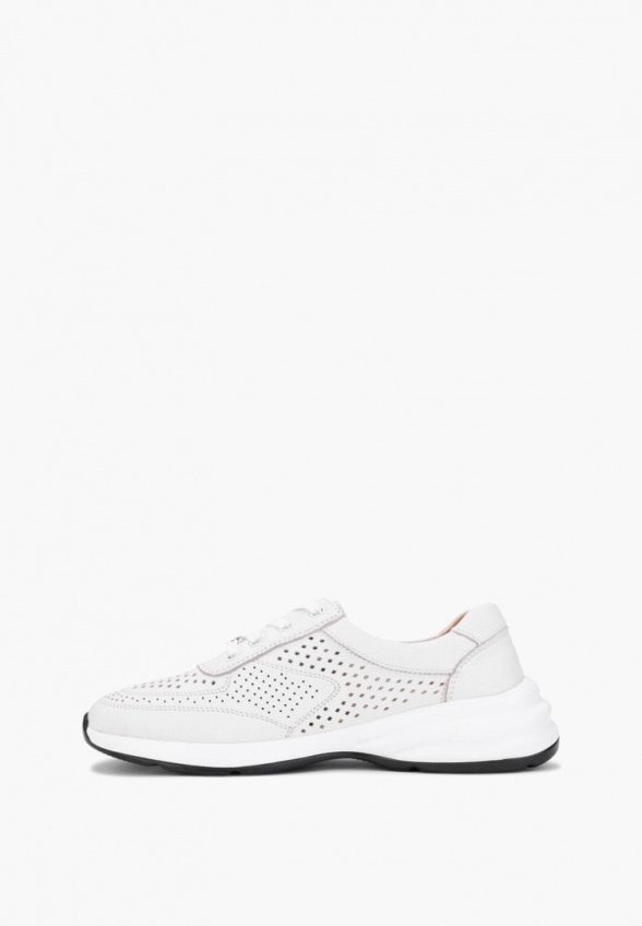 Кроссовки Ortenberg