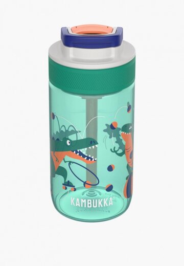 Бутылка Kambukka