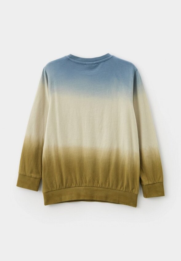 Свитшот Coccodrillo