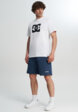 Футболка мужская DC Shoes Star, Белый5  - превью