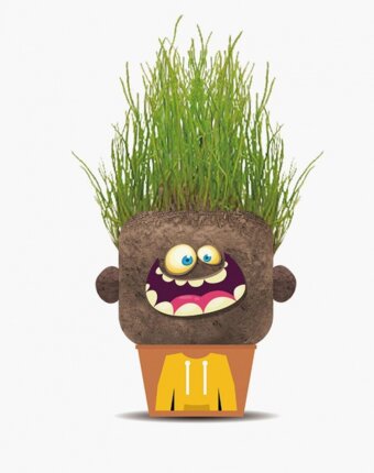 Набор игровой Hape детям