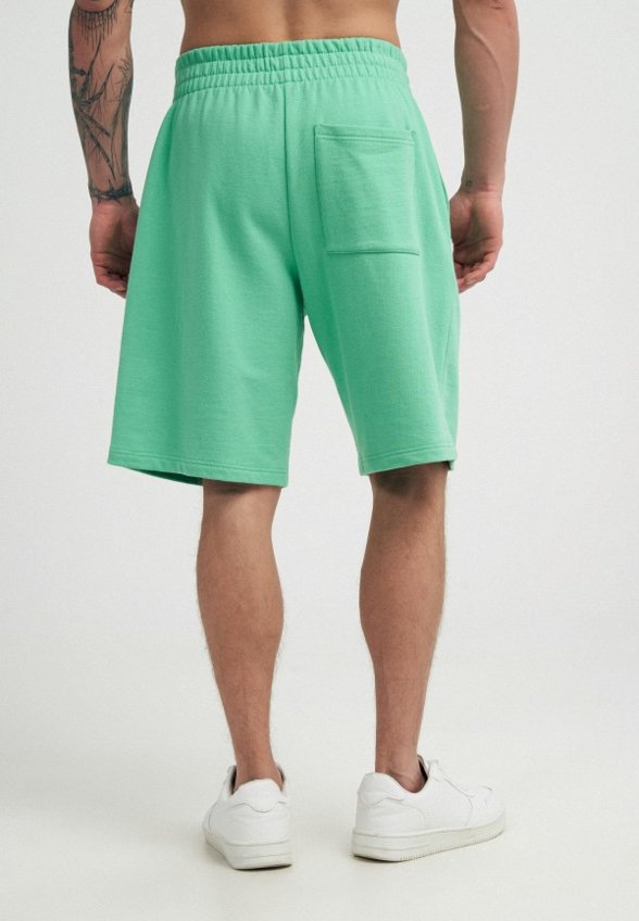 Шорты спортивные Твое