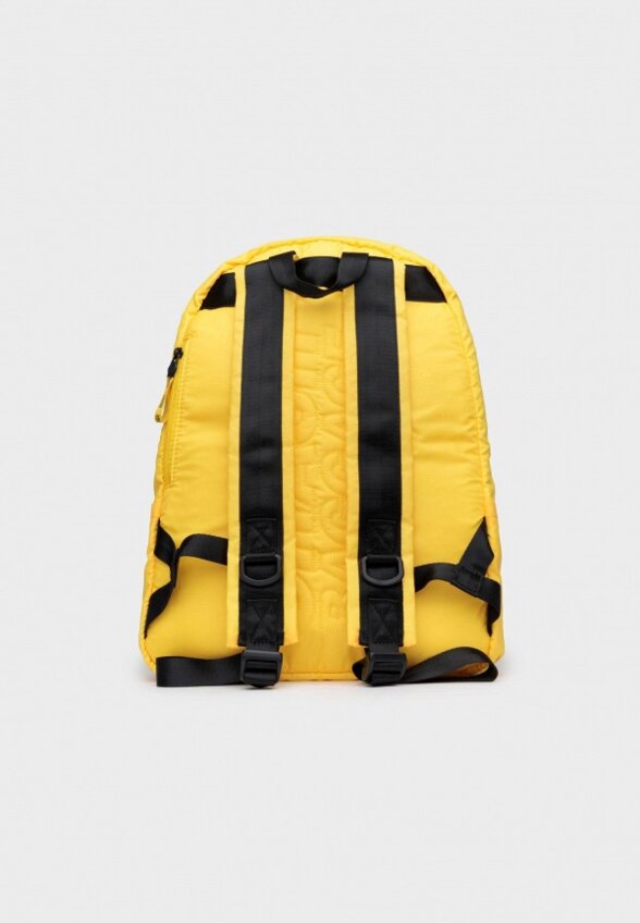 Рюкзак Crash Baggage