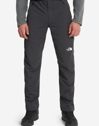 Брюки мужские The North Face Diablo Reg, Серый женщинам
