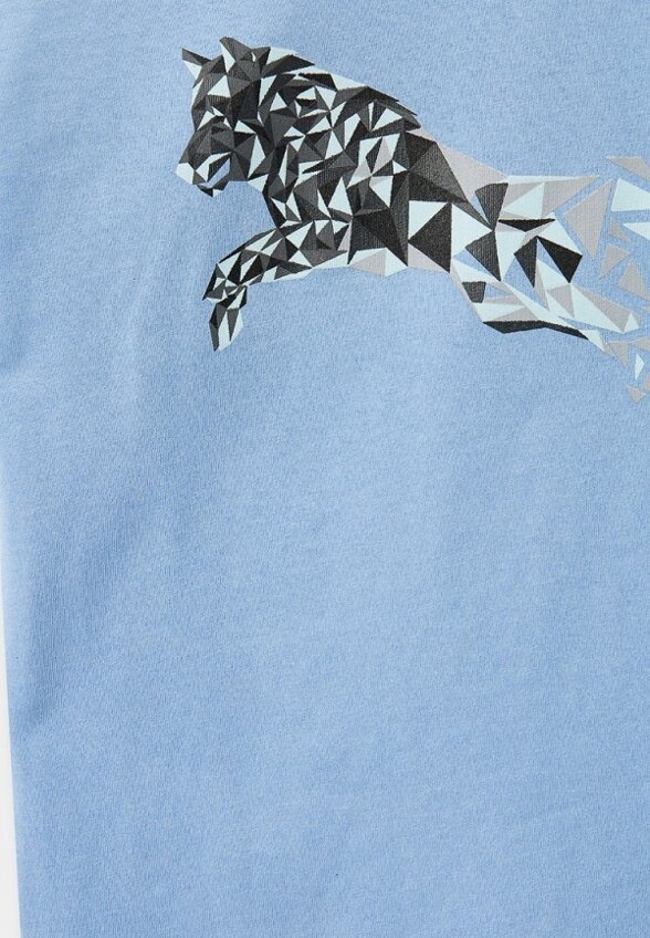 Футболка Blacksi