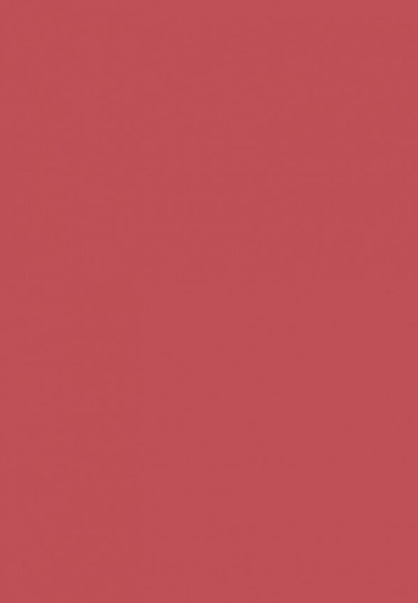 Помада Red Cookies