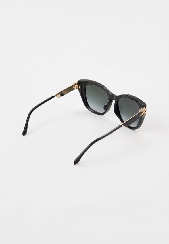 Очки солнцезащитные Etro