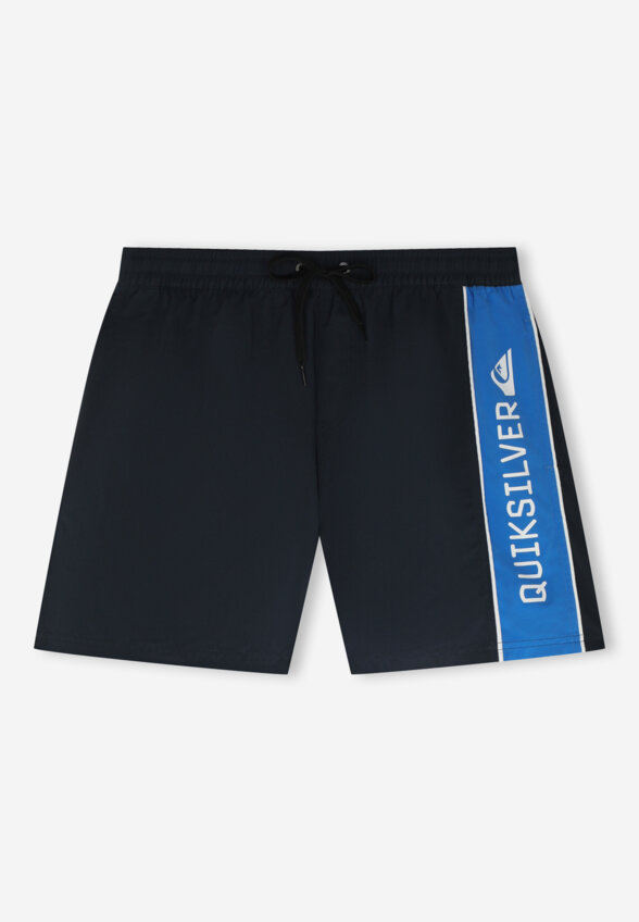 Шорты плавательные мужские Quiksilver Everyday Clicker Volley 17, Синий