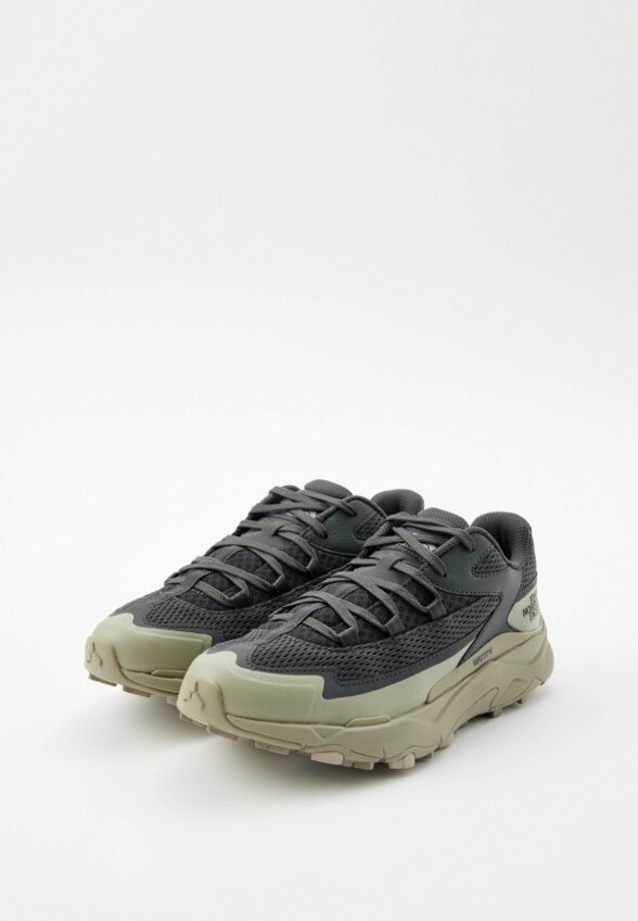 Кроссовки The North Face