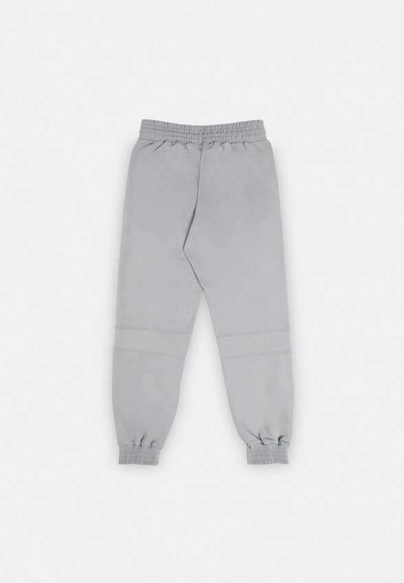 Брюки спортивные Индивид