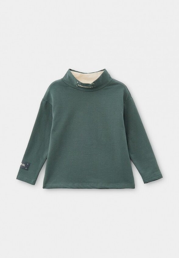 Водолазка Pelican