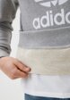 Худи adidas Originals4  - превью