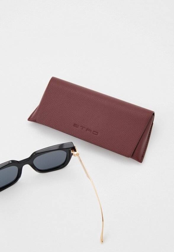 Очки солнцезащитные Etro