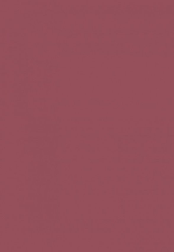 Карандаш для губ Astra