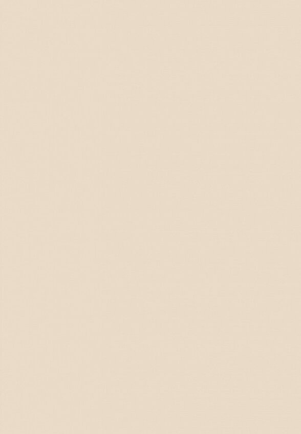 Футляр для помады Clarins