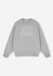 Свитшот женский оверсайз Under Armour Rival Flc OS Varsity Crew, Серый8  - превью
