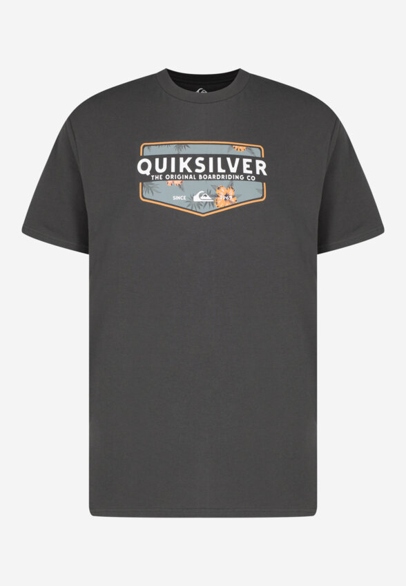 Футболка мужская Quiksilver Ultimate Classic, Серый