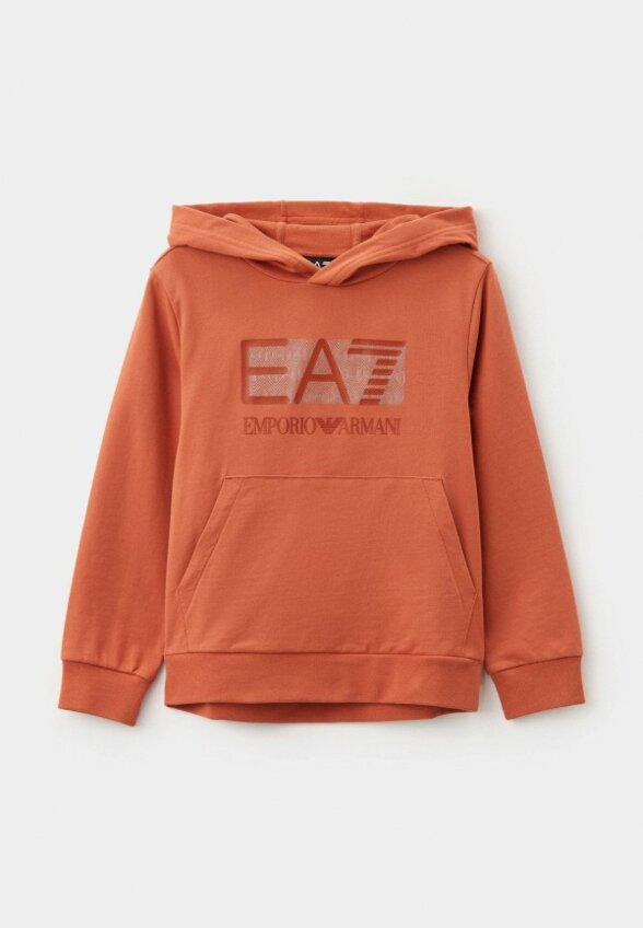 Худи EA7
