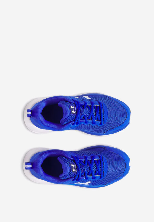 Кроссовки для мальчиков Under Armour BGS Assert 10, Синий