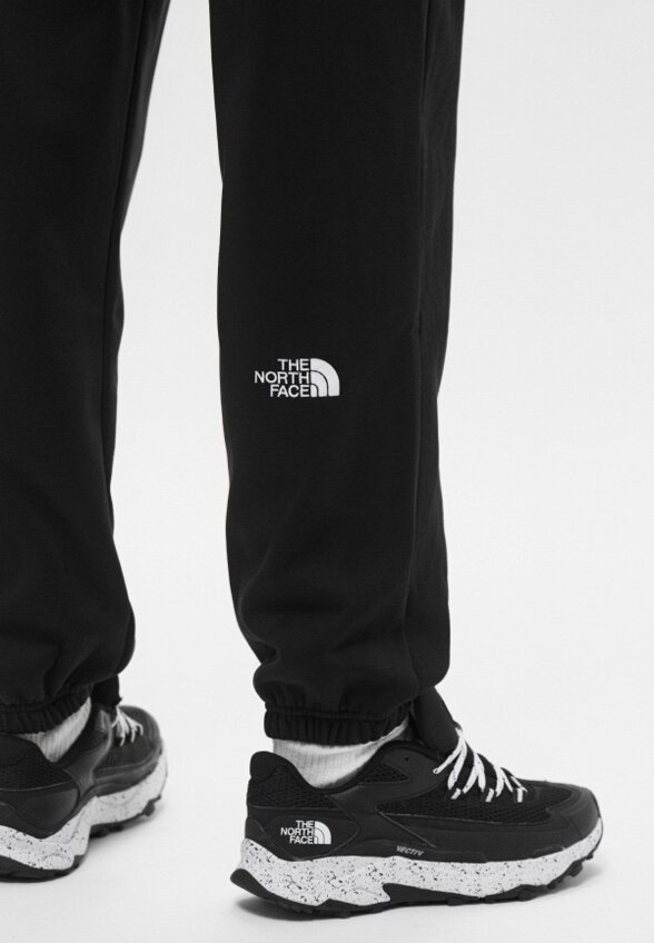 Брюки спортивные The North Face