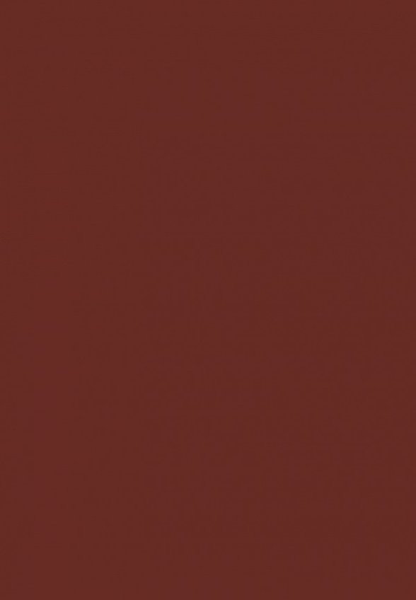 Бальзам оттеночный для губ Astra