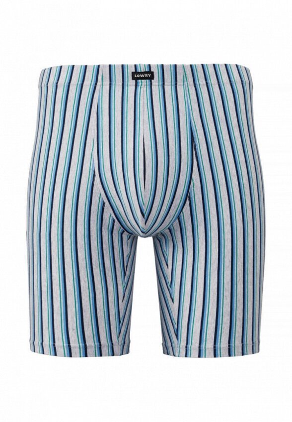 Трусы Lowry Collection
