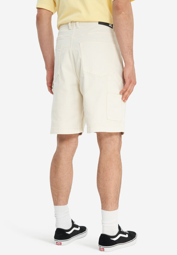 Шорты мужские оверсайз DC Shoes Carpenter Baggy, Бежевый