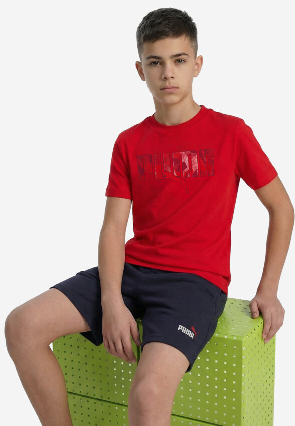Футболка для мальчиков PUMA Ess Logo Lab Story 2, Красный