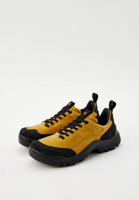 Кроссовки трекинговые Ecco