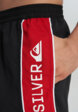 Шорты плавательные мужские Quiksilver Everyday Clicker Volley 17, Черный4  - превью