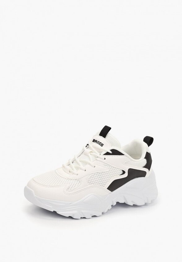 Кроссовки Briggs