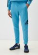 Брюки спортивные adidas1  - превью