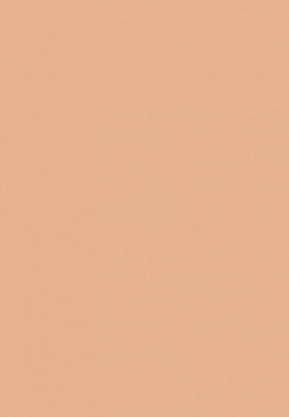 Хайлайтер MAC