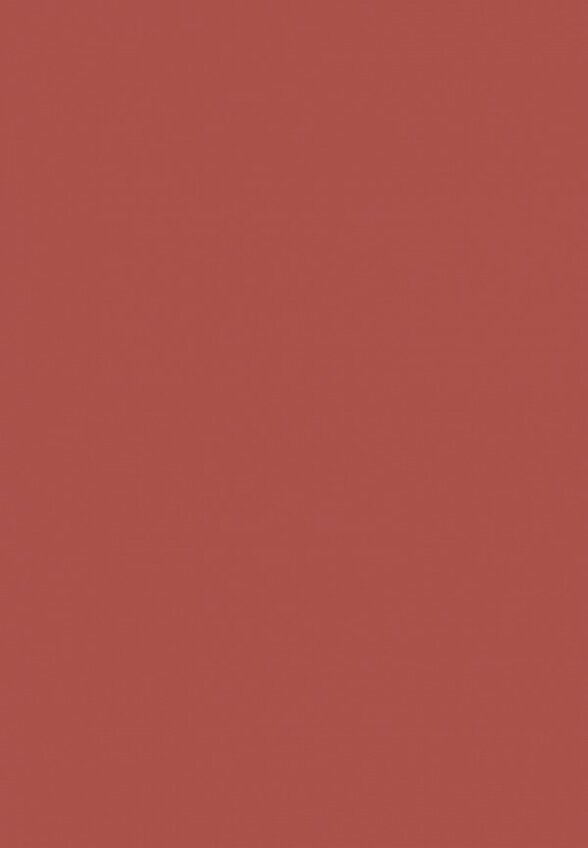 Помада жидкая Muzigae Mansion