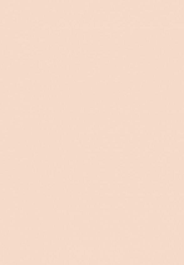 Пудра компактная Ga-De