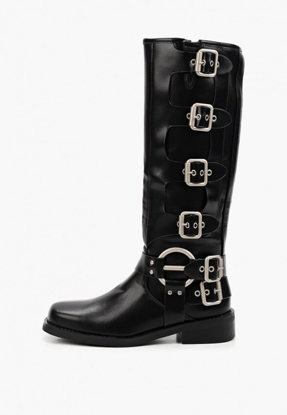 Сапоги Dino Albat